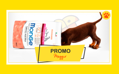 Promo maggio 2018