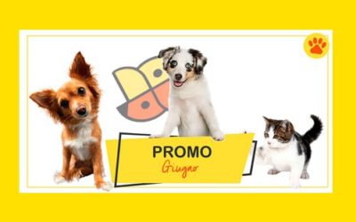 Promo Giugno 2018