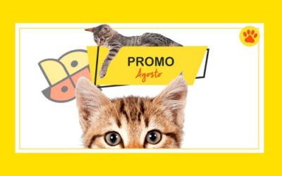 Promo Agosto 2018