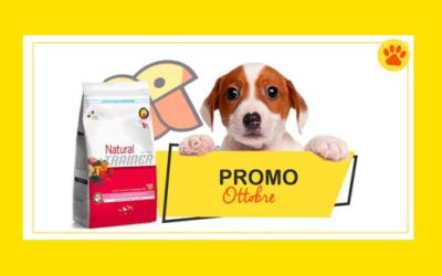 Promo Ottobre 2018