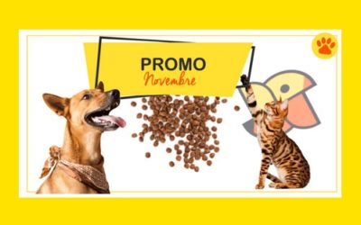 Promo Novembre 2018
