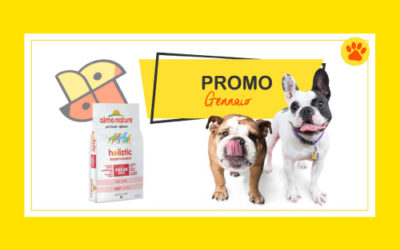 Promo gennaio 2019