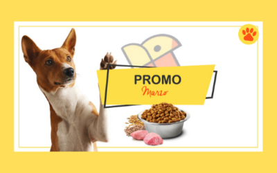 Promo marzo 2019