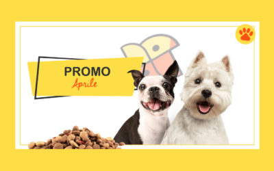 Promo aprile 2019