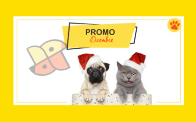 Promo dicembre 2019