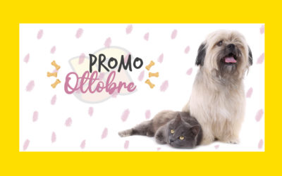 Promo ottobre 2020