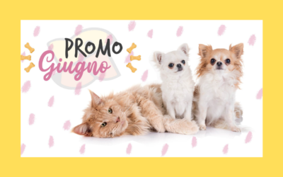 Promo giugno 2020