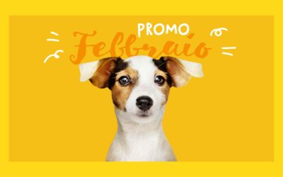 Promo Febbraio 2021