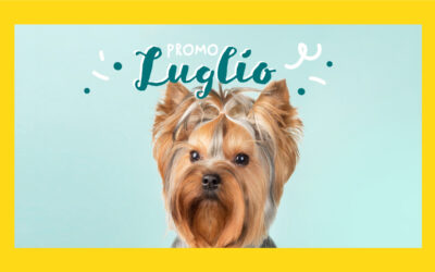 Promo Luglio 2022