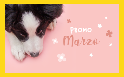Promo Marzo 2023