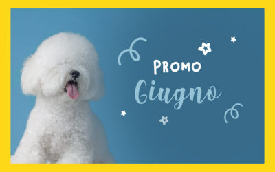 Promo Giugno 2023