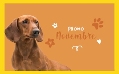 Promo Novembre 2023