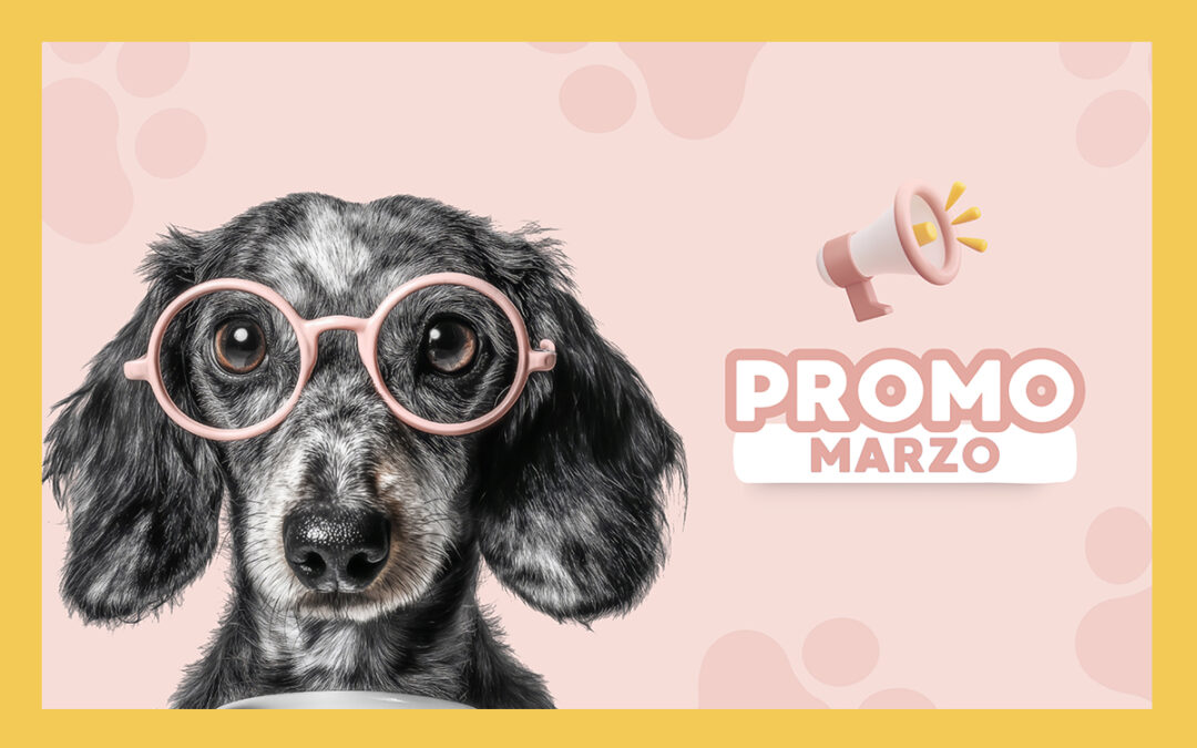 Promo Marzo 2026