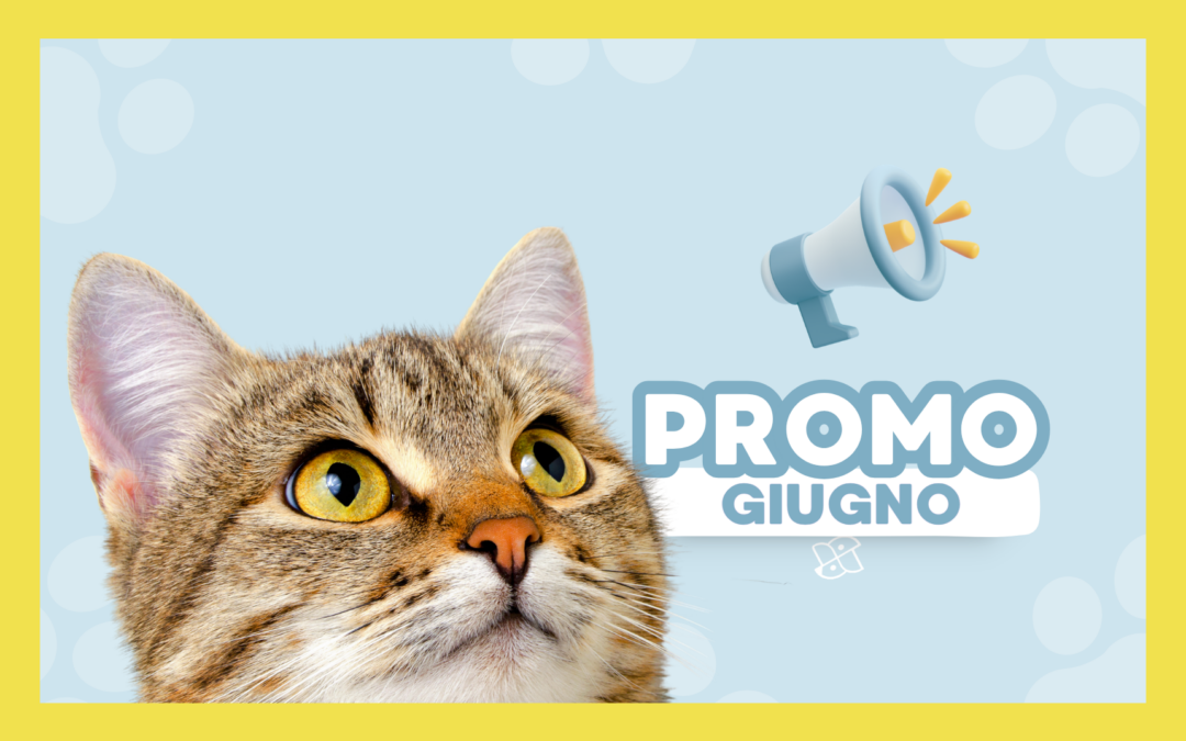 Promo Giugno 2026