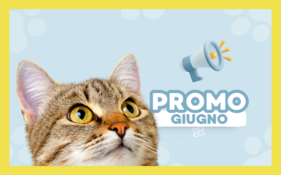 Promo Giugno 2026